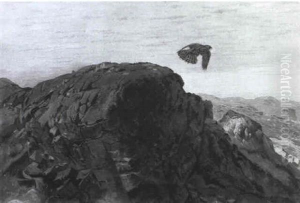 A Gyr Falcon Gliding Away - view 1