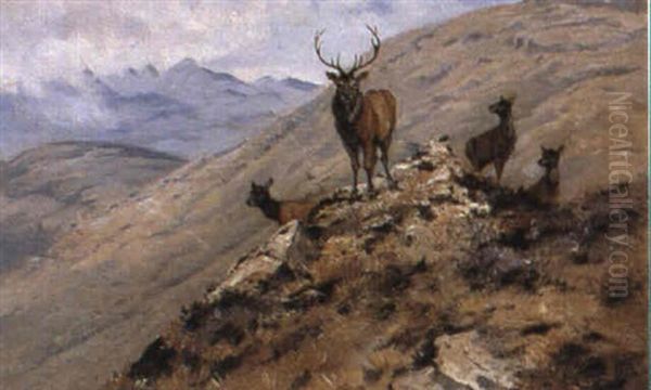 A Ten Pointer And Hinds At Inchnagardoch - view 1