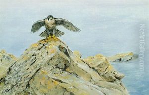 A Peregrine Falcon On A Rocky Outcry by George Edward Lodge
