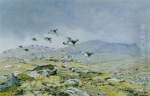 Ptarmigan In Flight by George Edward Lodge