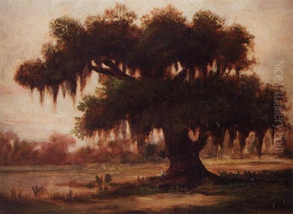 Tree With Spanish Moss, Louisiana Bayou - view 1