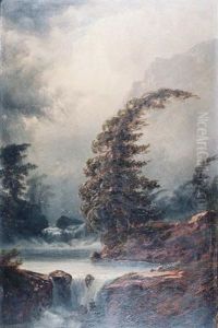 Rocky Mountain Stream by Alexander Francois Loemans