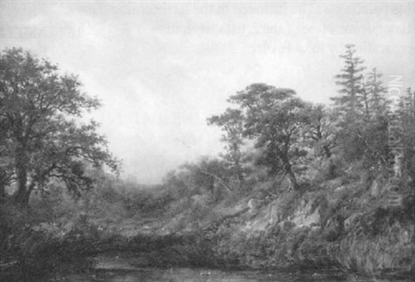 River Landscape - view 1