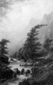 Storm In The White Mountains