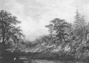 Wooded River Landscape