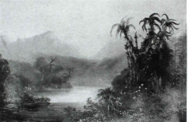 Lake View In The Tropics - view 1