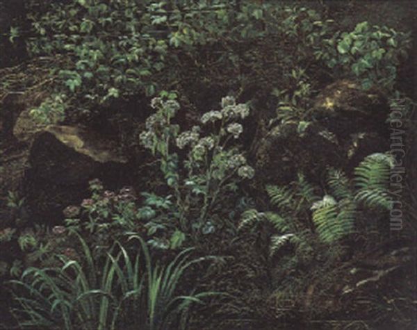 Bluhender Waldboden - view 1