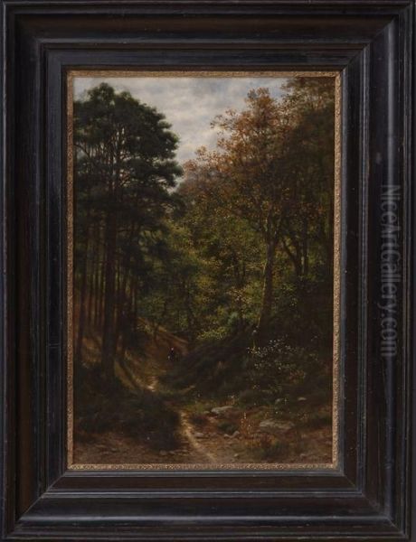 A Stroll In The Woods - view 1