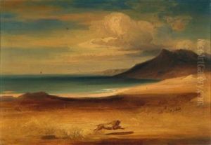 The Dead Sea