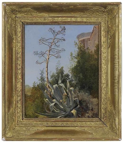 Aloe And Ruins - view 1