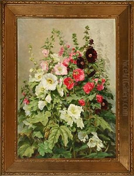 White, Rose And Dark Red Hollyhocks - view 1