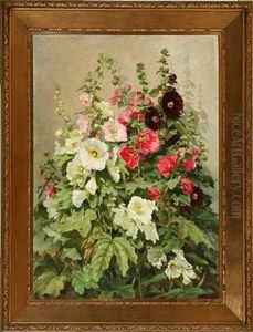 White, Rose And Dark Red Hollyhocks