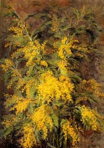 Mimoser by Emma Auguste Loffler