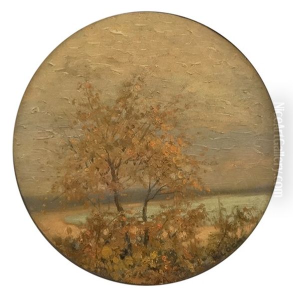 Autumn - view 1