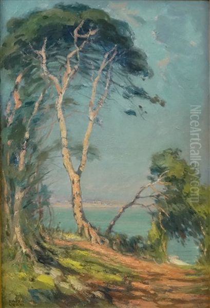 Trees With Cliff - view 1