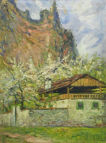 Rocks At Wachau - view 1