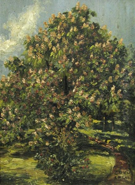 Tree In Blossom - view 1