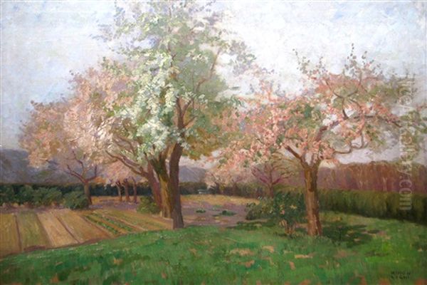 Trees In Blossom - view 1