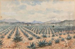 El Iztaccihuatl And El Popocatepetl With Field Of Maguey by August Loehr
