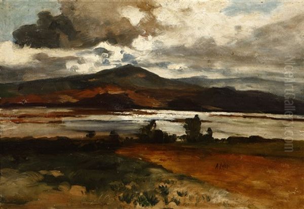 Lake Chapala, Mexico by August Loehr