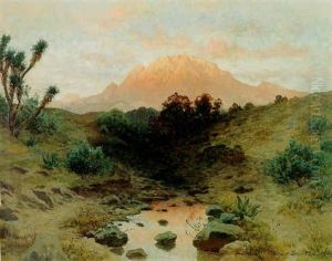 Vista Del Ajusco Vista Del Ajusco