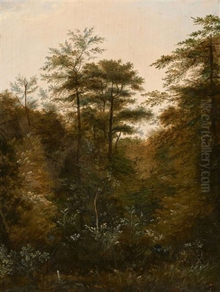 Etude De Sous-bois Avec Le Trepied De L'artiste, Foret De Fontainebleau - view 1
