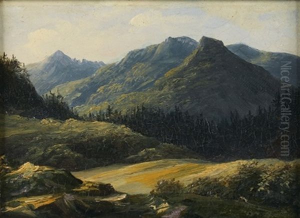 Vue Du Mont D'or En Auvergne - view 1
