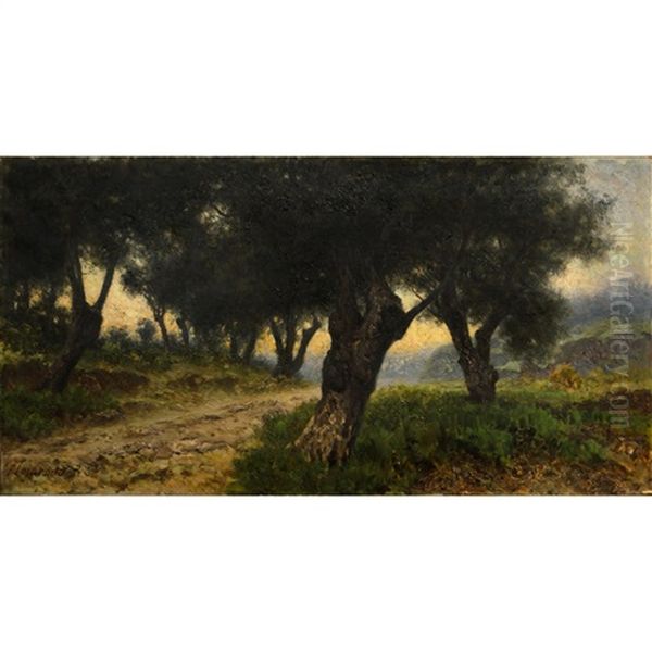 L"oliveto - view 1