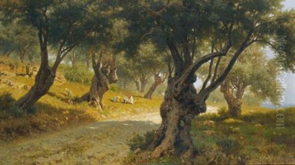 The Olive Grove, Palermo - view 1