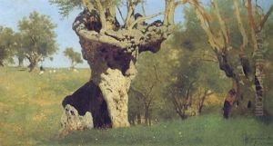 L'olivo
