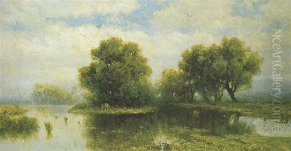 Palude - view 1