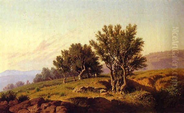 Uliveto - view 1