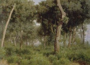 Bosco by Francesco Lojacono