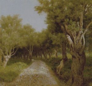 Strada Tra Gli Ulivi