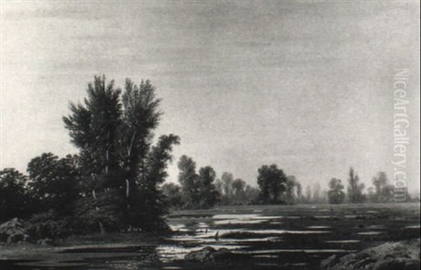Sumpflandschaft - view 1