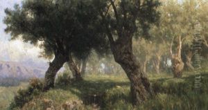 L'uliveto by Francesco Lojacono