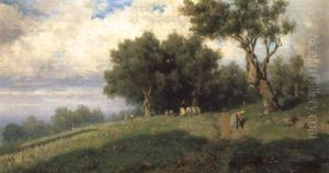 La Raccolta Delle Olive