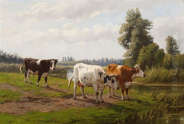 Cows And A Bull By The Water's Edge - view 1
