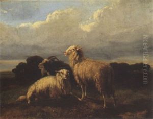 Sheep by Dirk Van Lokhorst