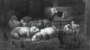 Schapen In Hun Kooi by Dirk Van Lokhorst