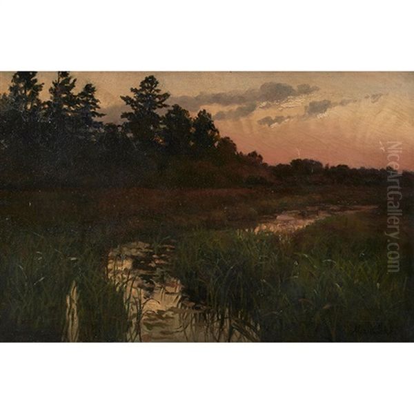 Landscape - view 1