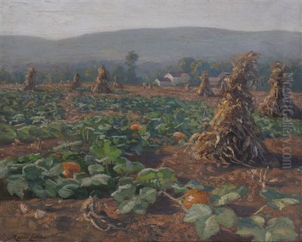 Akerlandskap Med Gresskar - view 1