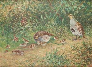 Quails
