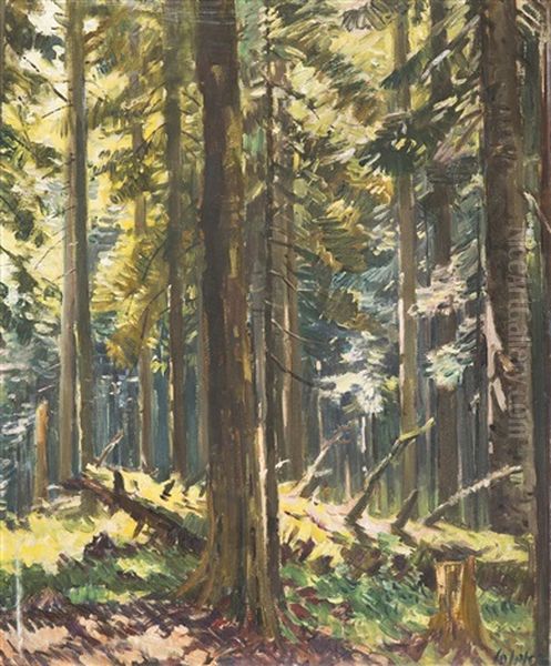 Inside A Forest - view 1