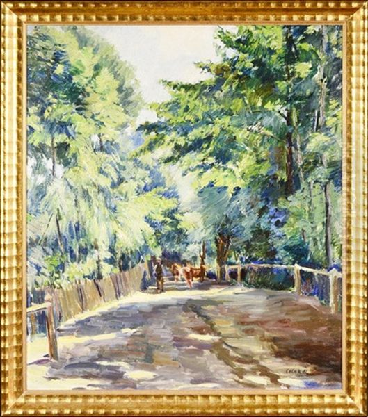 On The Way To A Pasture - view 1