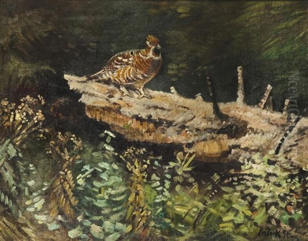 Fasan - view 1