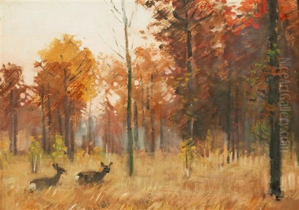 Rehe Im Wald - view 1