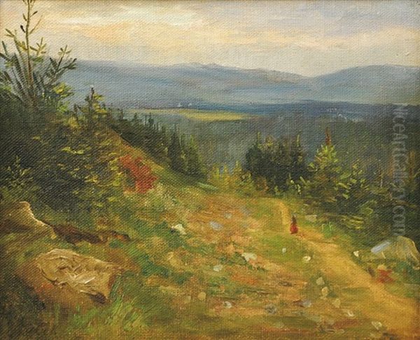 Path Through Forest - view 1