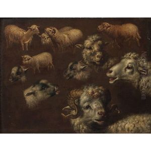 Etudes De Moutons by Francesco Londonio