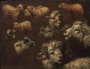 Etudes De Moutons by Francesco Londonio